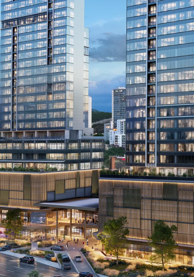 M_Menu_Generico 6 (2).webp